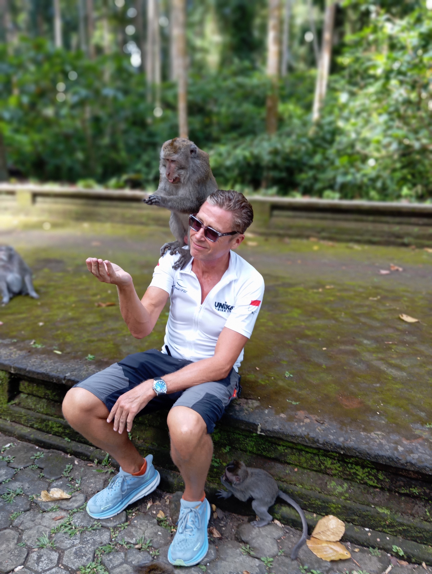 Visitors at the sacred Sangeh Monkey Forest in Bali — ancient nutmeg trees and playful long-tailed macaques