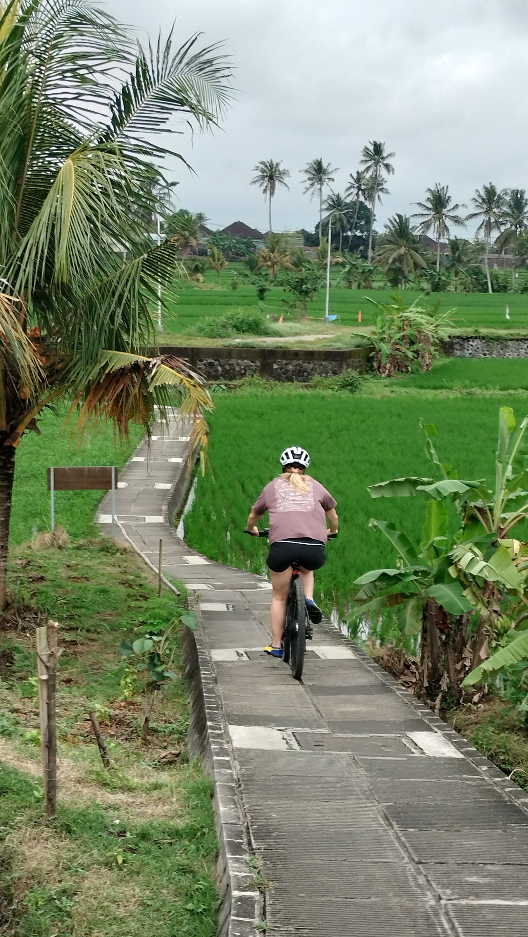 Scenic Bali landscape along the Green Escape e-bike route — tropical greenery, palm trees and volcanic peaks near Penarungan
